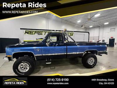 Used 1987 Chevrolet R/V 1500 Crew Cab 4x4, Pickup for sale #5119 - photo 1