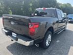 New 2024 Ford F-150 XLT SuperCrew Cab 4x4, Pickup for sale #22229 - photo 24