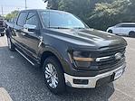 New 2024 Ford F-150 XLT SuperCrew Cab 4x4, Pickup for sale #22229 - photo 5