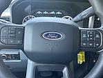 2024 Ford F-250 Crew Cab 4x4, Pickup for sale #72040 - photo 13