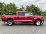 2024 Ford F-150 SuperCrew Cab 4x4, Pickup for sale #DC24173 - photo 3