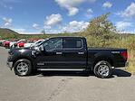 2024 Ford F-150 SuperCrew Cab 4x4, Pickup for sale #DC24238F - photo 32