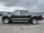 2024 Ford F-150 SuperCrew Cab 4x4, Pickup for sale #DC24289 - photo 18