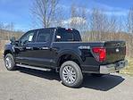 2024 Ford F-150 SuperCrew Cab 4x4, Pickup for sale #DC24294 - photo 18