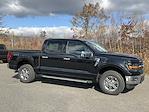 2024 Ford F-150 SuperCrew Cab 4x4, Pickup for sale #DC24665 - photo 3