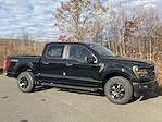 New 2024 Ford F-150 STX SuperCrew Cab 4x4, Pickup for sale #DC24700 - photo 3