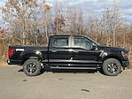 New 2024 Ford F-150 STX SuperCrew Cab 4x4, Pickup for sale #DC24700 - photo 24