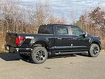 New 2024 Ford F-150 STX SuperCrew Cab 4x4, Pickup for sale #DC24700 - photo 2