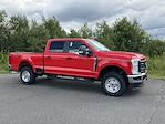 2024 Ford F-350 Crew Cab SRW 4x4, Pickup for sale #DCG10787 - photo 1