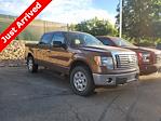 2011 Ford F-150 SuperCrew Cab 4WD, Pickup for sale #KD94335T - photo 4