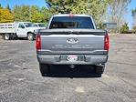 2024 Ford F-150 SuperCrew Cab 4WD, Pickup for sale #RFB81318 - photo 11