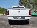 2024 Ford F-150 SuperCrew Cab 4WD, Pickup for sale #RFB82255 - photo 11