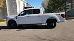 New 2024 Ford F-150 STX SuperCrew Cab 4WD, Pickup for sale #RKF27334 - photo 6