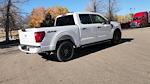 New 2024 Ford F-150 STX SuperCrew Cab 4WD, Pickup for sale #RKF27334 - photo 15