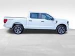 New 2024 Ford F-150 STX SuperCrew Cab 4x4, Pickup for sale #E85652 - photo 6