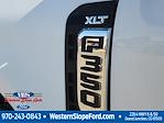 2024 Ford F-350 Crew Cab SRW 4x4, Pickup for sale #38234 - photo 14