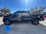 2021 Ford F-150 SuperCrew Cab 4x4, Pickup for sale #MFC25622 - photo 8