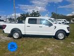 2024 Ford F-150 SuperCrew Cab 4x2, Pickup for sale #RKF14663 - photo 3