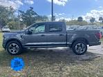 2024 Ford F-150 SuperCrew Cab 4x2, Pickup for sale #RKF17951 - photo 6