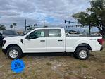 2024 Ford F-150 SuperCrew Cab 4x4, Pickup for sale #RKF46580 - photo 6