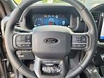 New 2024 Ford F-150 XLT SuperCrew Cab 4WD, Pickup for sale #RKD47033 - photo 16