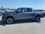 2024 Ford F-150 SuperCrew Cab 4x4, Pickup for sale #521987 - photo 2