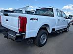 New 2024 Ford F-250 XL Crew Cab 4x4, Pickup for sale #522281 - photo 3