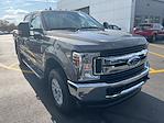 2019 Ford F-250 Crew Cab 4x4, Pickup for sale #S4F4825A - photo 4