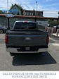 New 2024 Ford F-150 XLT SuperCrew Cab 4x4, Pickup for sale #24F1292 - photo 7