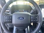 New 2024 Ford F-150 STX SuperCrew Cab 4WD, Pickup for sale #F137T24 - photo 16