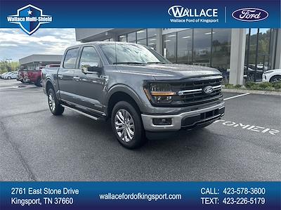 New 2024 Ford F-150 XLT SuperCrew Cab 4WD, Pickup for sale #F161T24 - photo 1