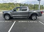 New 2024 Ford F-150 XLT SuperCrew Cab 4WD, Pickup for sale #F161T24 - photo 4