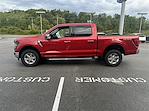 New 2024 Ford F-150 XLT SuperCrew Cab 4WD, Pickup for sale #F168T24 - photo 4