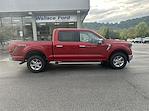 New 2024 Ford F-150 XLT SuperCrew Cab 4WD, Pickup for sale #F168T24 - photo 2