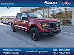 New 2024 Ford F-150 STX SuperCrew Cab 4WD, Pickup for sale #F215T24 - photo 1