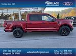 New 2024 Ford F-150 STX SuperCrew Cab 4WD, Pickup for sale #F215T24 - photo 2