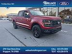 New 2024 Ford F-150 STX SuperCrew Cab 4WD, Pickup for sale #F220T24 - photo 1