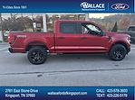 New 2024 Ford F-150 STX SuperCrew Cab 4WD, Pickup for sale #F220T24 - photo 2