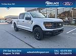 New 2024 Ford F-150 STX SuperCrew Cab 4WD, Pickup for sale #F222T24 - photo 1