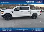 New 2024 Ford F-150 STX SuperCrew Cab 4WD, Pickup for sale #F223T24 - photo 4