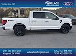 New 2024 Ford F-150 STX SuperCrew Cab 4WD, Pickup for sale #F223T24 - photo 2