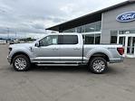 New 2024 Ford F-150 XLT SuperCrew Cab 4WD, Pickup for sale #8F0014 - photo 3