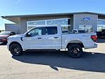 New 2024 Ford F-150 STX SuperCrew Cab 4WD, Pickup for sale #8F0060 - photo 3