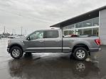 2021 Ford F-150 SuperCrew Cab 4WD, Pickup for sale #8P0092 - photo 4