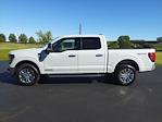 New 2024 Ford F-150 XLT SuperCrew Cab 4WD, Pickup for sale #NTA99652 - photo 5