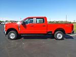 New 2024 Ford F-250 XL Crew Cab 4WD, Pickup for sale #NTD55164 - photo 6