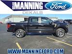 New 2024 Ford F-150 STX SuperCrew Cab 4WD, Pickup for sale #NTE64016 - photo 1