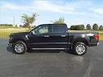 New 2024 Ford F-150 XLT SuperCrew Cab 4WD, Pickup for sale #NTE74091 - photo 6