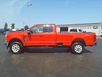 New 2024 Ford F-350 XLT Super Cab 4WD, Pickup for sale #NTE91079 - photo 5