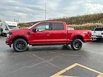 New 2024 Ford F-150 XLT SuperCrew Cab 4WD, Pickup for sale #NTF29409 - photo 6